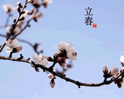 二十四節氣查詢