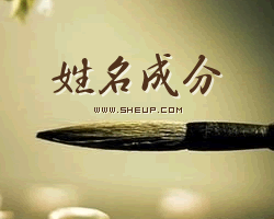 姓名成分測試