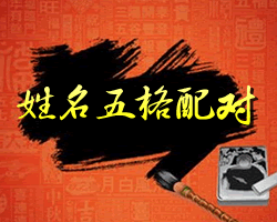 姓名五格配對測試