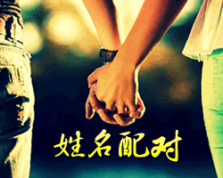 姓名配對測試