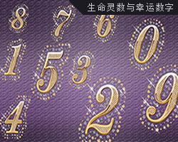 幸運數字查詢